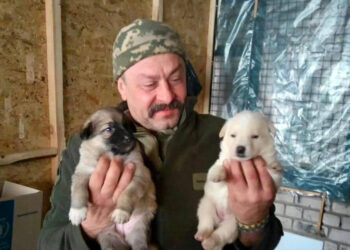 Бучанець Роман Цезар отримав медаль “Честь. Слава. Держава” за оборону Києва, фото – Київщіна