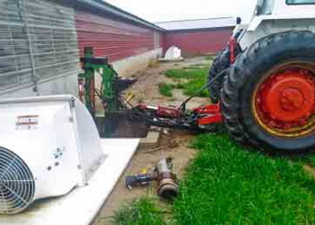 Внесення свинячого гною: найкращі сезони – Економіка