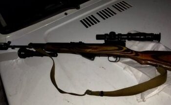 Екоінспектори виявили порушення в ході рейдових перевірок на території Роменського району – Суми та область