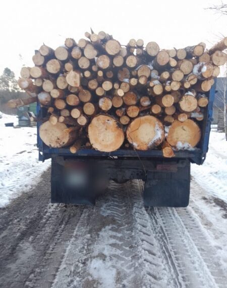 Екоінспектори затримали автомобіль із краденою деревиною – Суми та область