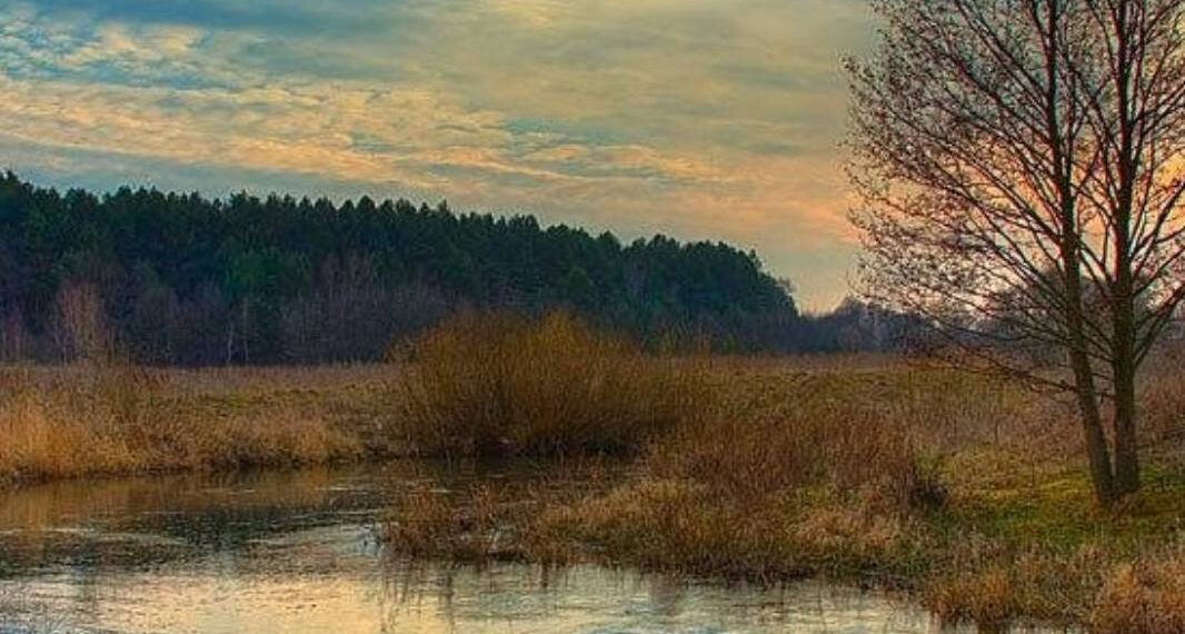 Київська облрада підтримала створення ландшафтного заказника “Ріка-Герой Ірпінь”