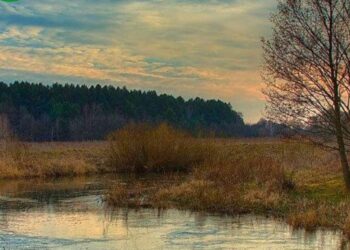 Київська облрада підтримала створення ландшафтного заказника “Ріка-Герой Ірпінь”