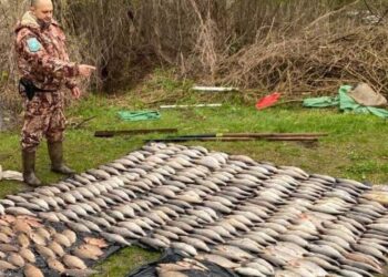 На Бориспільщині браконьєр “нариболовив” більш ніж на півмільйона гривень