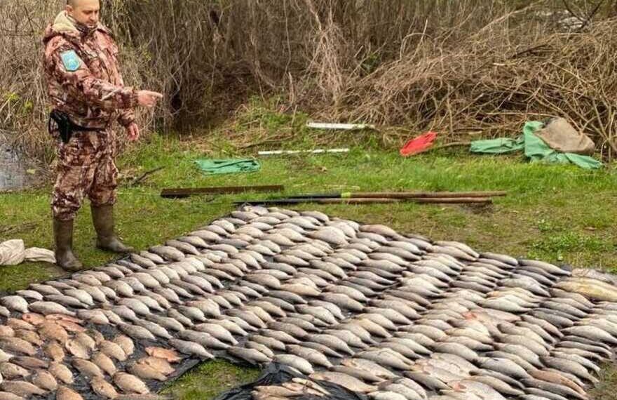На Бориспільщині браконьєр “нариболовив” більш ніж на півмільйона гривень