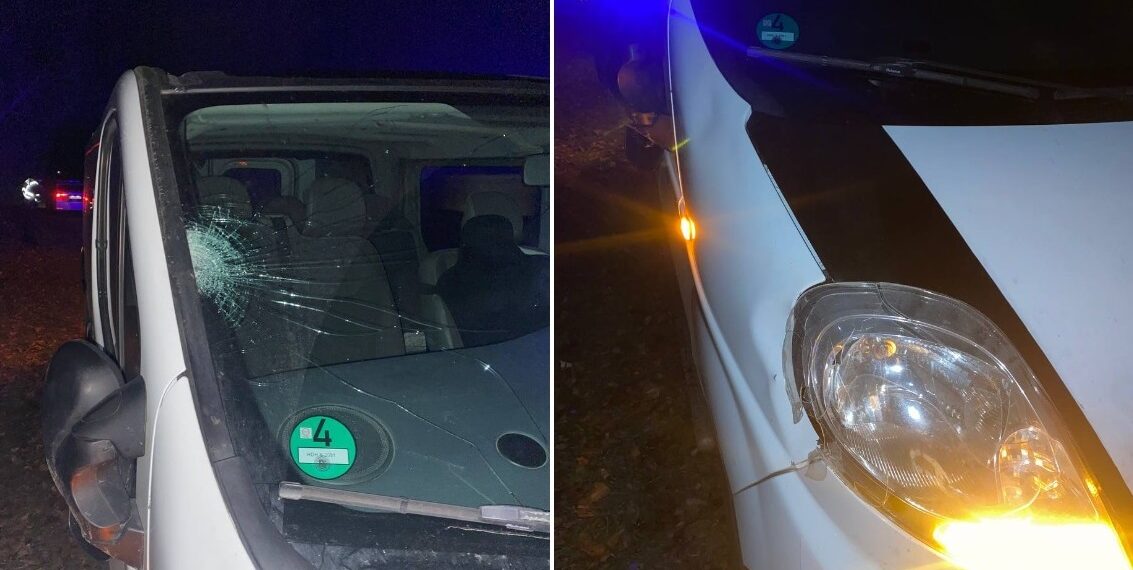 На Переяславщині внаслідок ДТП загинув чоловік