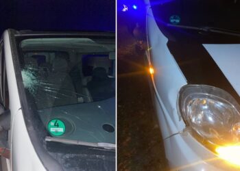 На Переяславщині внаслідок ДТП загинув чоловік