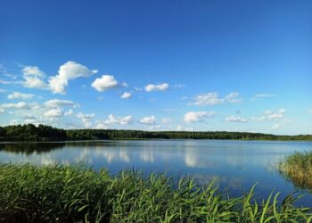 На Шосткинщині розвиватимуть гідрологічний заказник місцевого значення «Понурка» – Суми та область