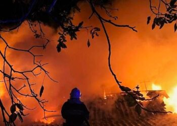 На Вишгородщині пожежа забрала життя жінки