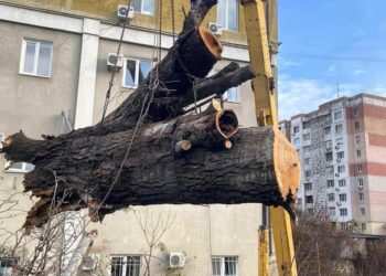 Непогода в Одессе 26 декабря: упавшие деревья и ветки до сих пор остаются на улицах