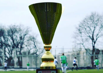 Новосанжарський «Стандарт» стартував на Кубку Микола Кудрицького у Дніпрі: у трьох турах три перемоги • Футбол •