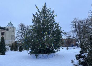 У Недригайлові встановили новорічну ялинку – Суми та область