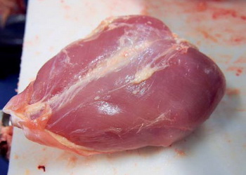 Перед забоєм птиці втрати живої маси мають бути мінімальними – Економіка