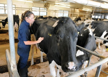 В Україні впроваджують підходи ЄС щодо спостереження за здоров’ям тварин – Економіка