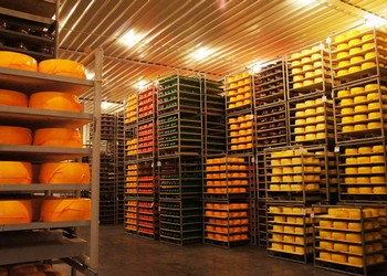 У 2023 світові ціни на молочну продукцію просіли на 16,6% – Економіка