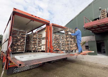 Транспортування птиці на переробку має тривати щонайбільше 8 годин – Економіка