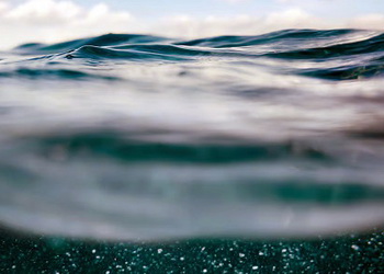 23 січня розіграють лоти на вилов риби в Дунаї та пониззі Дністра – Економіка