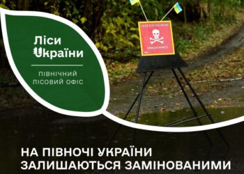 На Сумщині та Чернігівщині заміновані понад 18 тисяч гектарів лісу – Суми та область