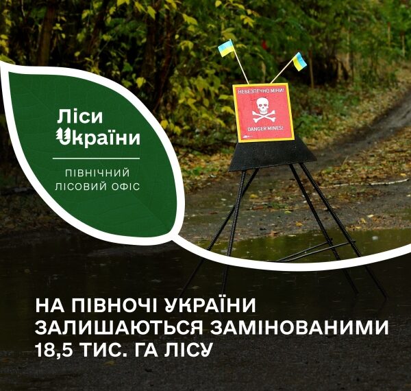 На Сумщині та Чернігівщині заміновані понад 18 тисяч гектарів лісу – Суми та область