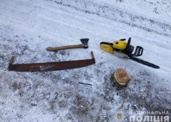 На території Сеймівського регіонального ландшафтного парку чоловік здійснив незаконний поруб дерев – Суми та область