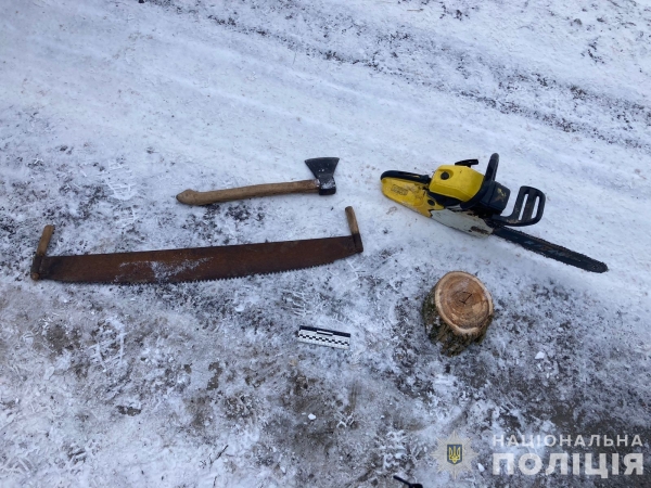 На території Сеймівського регіонального ландшафтного парку чоловік здійснив незаконний поруб дерев – Суми та область