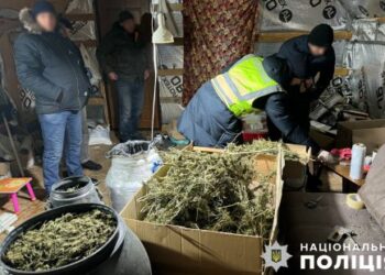 У Києві затримали сумчанина, який налагодив постачання марихуани через телеграм-канал – Суми та область