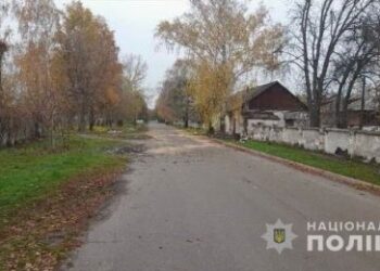 У Конотопі на п’яного робітника впало спиляне дерево – Суми та область