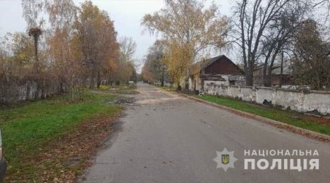 У Конотопі на п’яного робітника впало спиляне дерево – Суми та область
