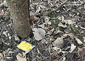 У Сумах на вулиці Івана Сірка спіймали наркозакладчика – Суми та область