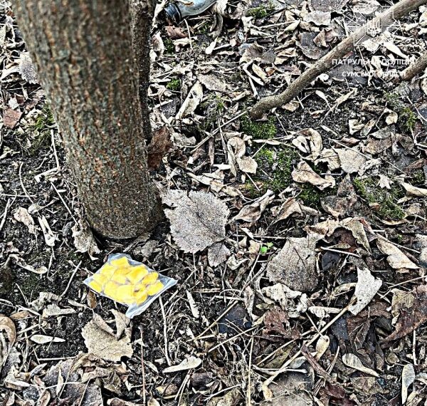 У Сумах на вулиці Івана Сірка спіймали наркозакладчика – Суми та область