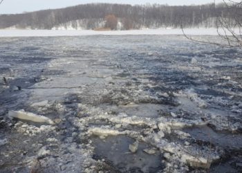 Мешканці Сумщини можуть розповісти про злочини РФ проти довкілля за допомогою платформи “Свідок” – Суми та область