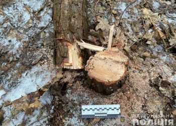 На Охтирщині поліцейські на гарячому викрили чоловіка, який чинив незаконний поруб – Суми та область