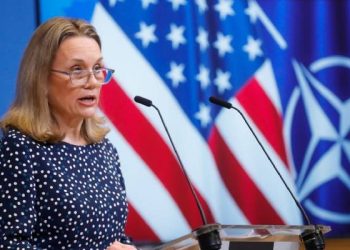 На саміті у Вашингтоні союзники говоритимуть про конкретні кроки для наближення України до НАТО – посол США у НАТО Сміт