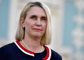 Посол США Брінк прокоментувала затримку допомоги Україні від США