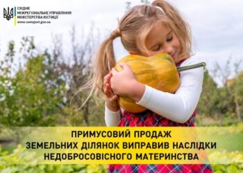 У Сумах мати примусово сплатила доньці 150 тис. грн аліментів – Суми та область