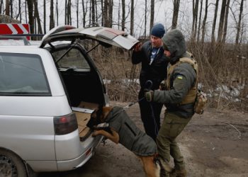 Як мобільні кінологічні групи сумських гвардійців працюють на блокпостах – Суми та область