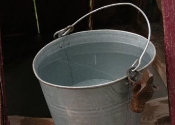 У воді на Шосткинщині виявили кишкову паличку – Суми та область