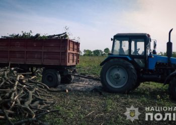Лебединські поліцейські припинили незаконний поруб деревини – Суми та область