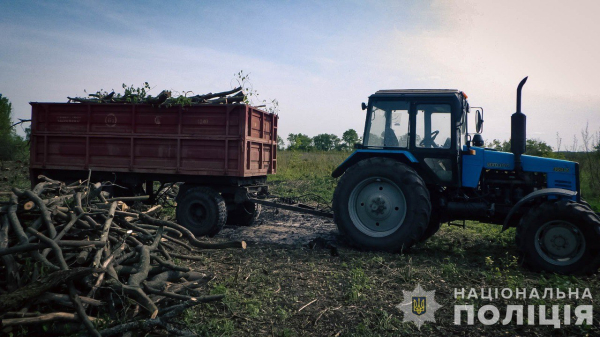 Лебединські поліцейські припинили незаконний поруб деревини – Суми та область