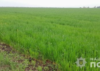 На Охтирщині чоловік самовільно захопив земельну ділянку – Суми та область
