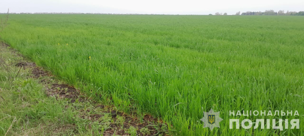 На Охтирщині чоловік самовільно захопив земельну ділянку – Суми та область
