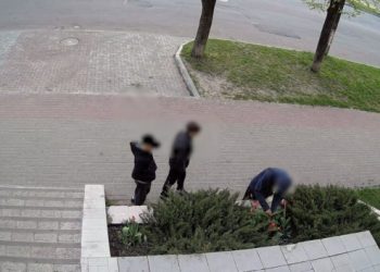 Підліток зіпсував красиву клумбу у центрі Шостки – Суми та область