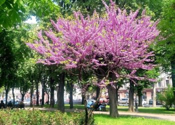 Станет прохладнее: какая погода будет в Одессе на следующей неделе