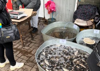 Сумські рибінспектори перевірили ринки у шести містах – Суми та область