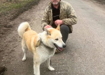 UAnimals вивезли з прикордонного села на Великописарівщині лайку, яку залишили на прив’язі – Суми та область