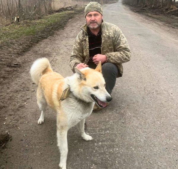 UAnimals вивезли з прикордонного села на Великописарівщині лайку, яку залишили на прив’язі – Суми та область