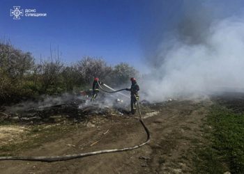 За добу рятувальники Сумщини 15 разів гасили загоряння сухої трави та чагарників – Суми та область