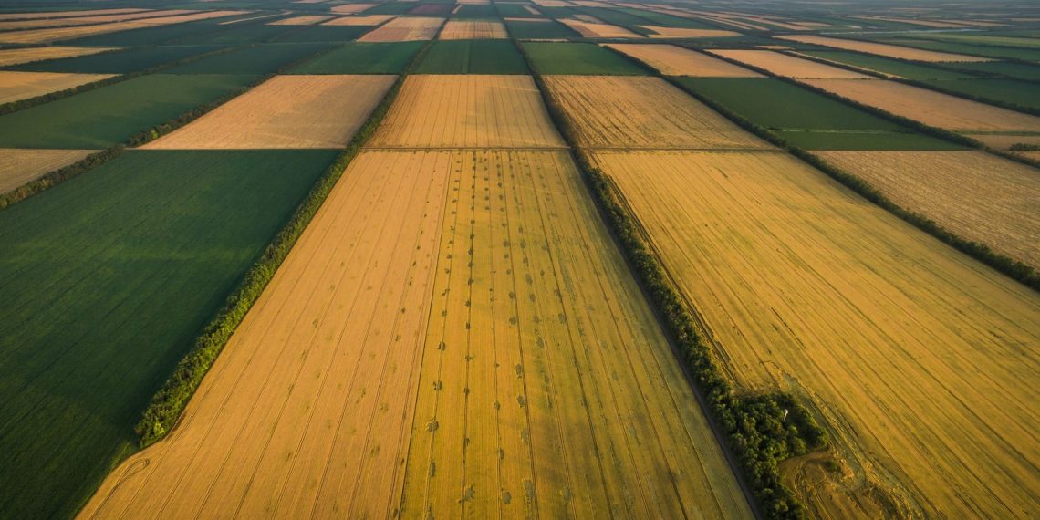 Переваги та підводні камені приватизації земельних паїв