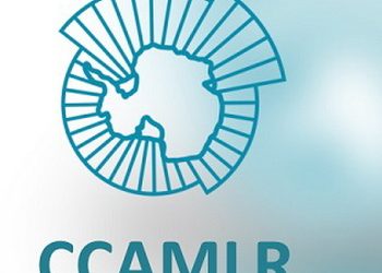 Рибалок запрошують до промислу в Антарктиці – Економіка