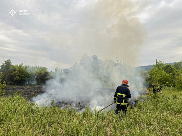 Рятувальники упродовж доби 8 разів ліквідовували загоряння на відкритих територіях Сумщини – Суми та область