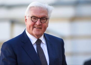 Треба не просто мріяти про мир, а підтримувати Україну – Штайнмаєр